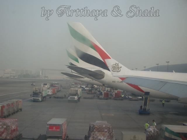 Acc-Bkk53.JPG